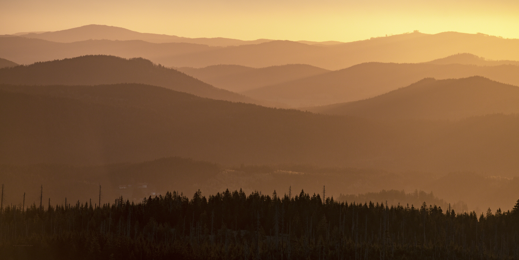 Kurz nach Sonnenaufgang auf dem Lusen...