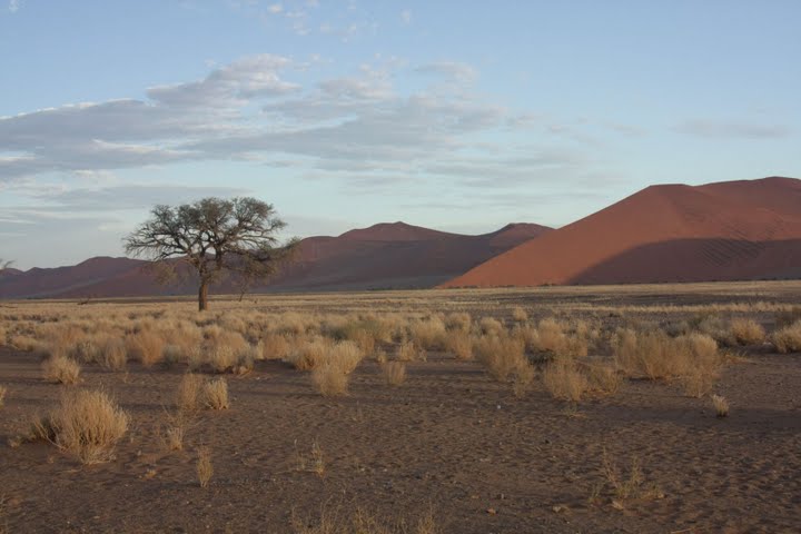 Kurz nach Sonnenaufgang ... bei der Düne 45 (Sossusvlei)