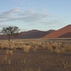 Kurz nach Sonnenaufgang ... bei der Düne 45 (Sossusvlei)