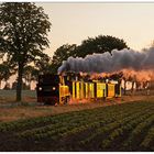 Kurz nach Sonnenaufgang bei Mesendorf