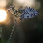 kurz nach Sonnenaufgang