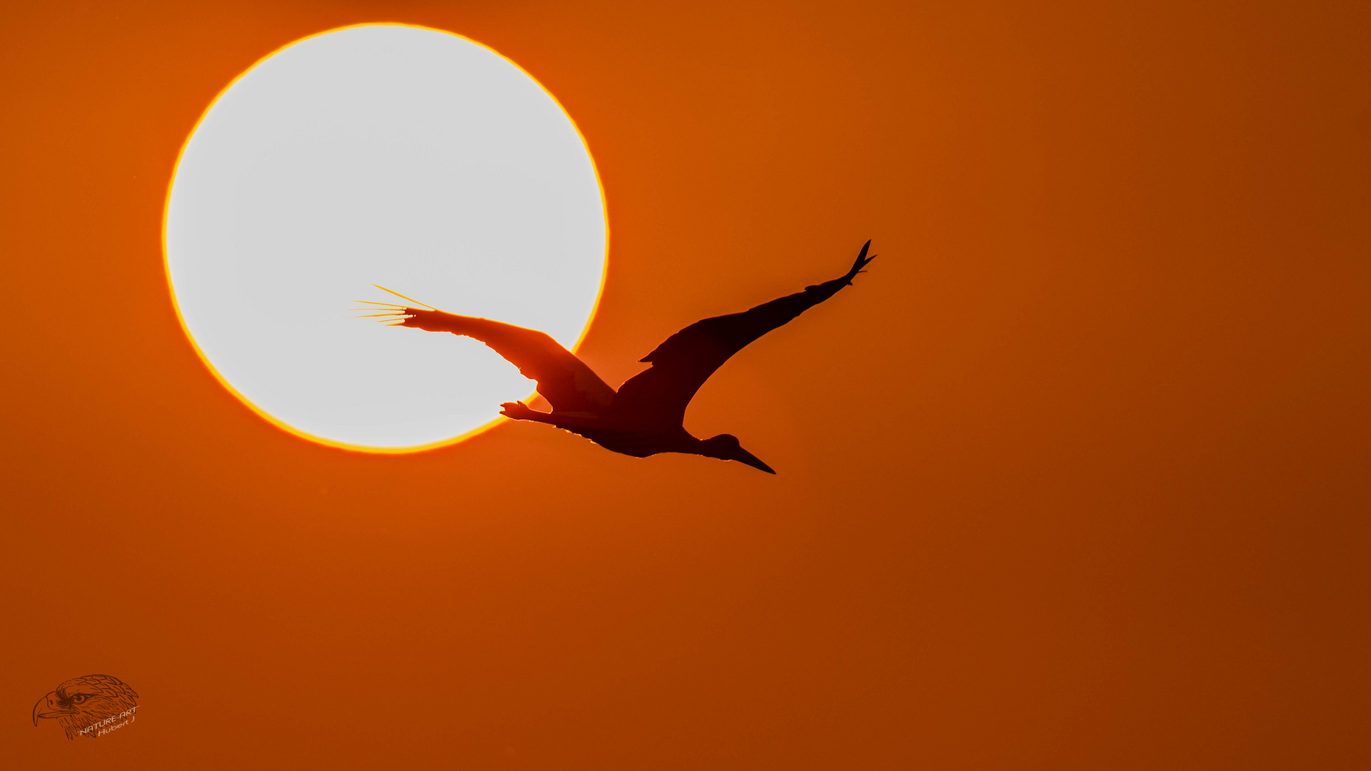 Kurz nach Sonnenaufgang