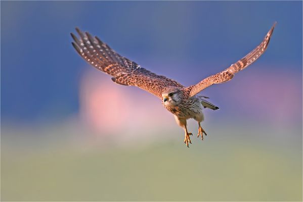 Kurz nach Sonnenaufgang