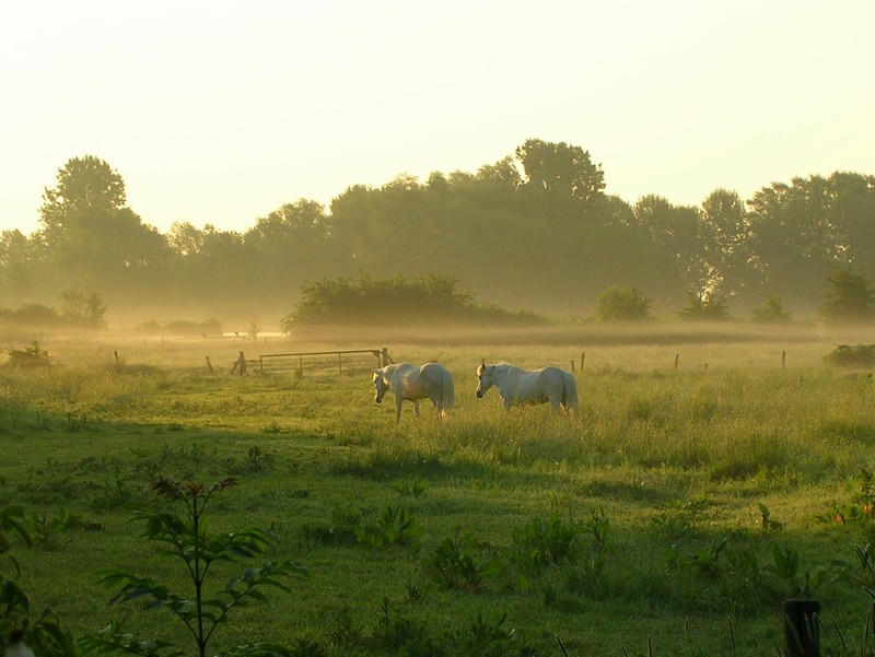 Kurz nach Sonnenaufgang