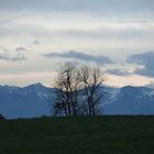 Kurz nach Sonnenuntergang am Irschenberg