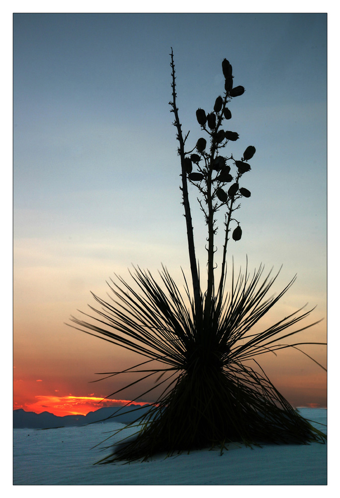 Kurz nach Sonnenuntergang in den White Sands