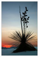 Kurz nach Sonnenuntergang in den White Sands