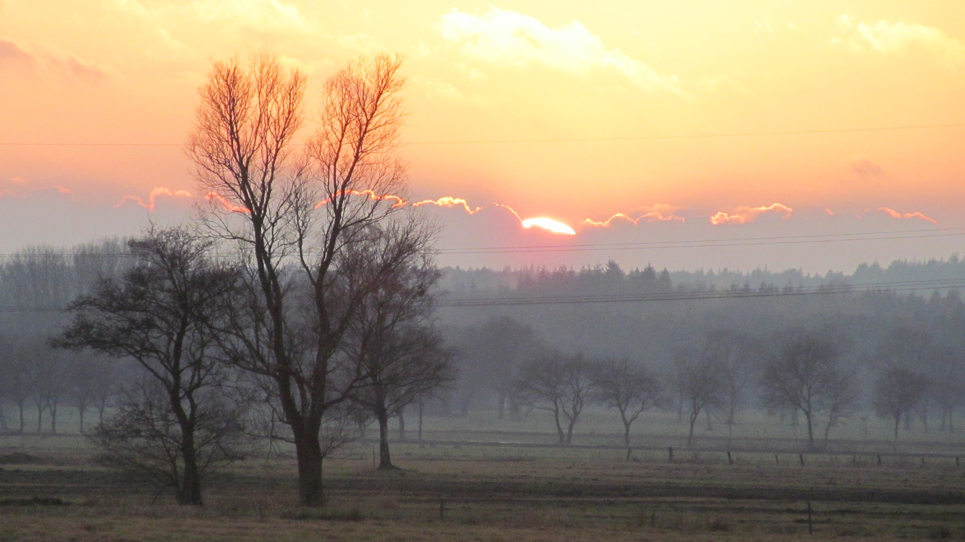 Kurz  .... vor .... Abenddaemmerung !