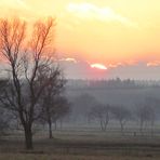 Kurz  .... vor .... Abenddaemmerung !