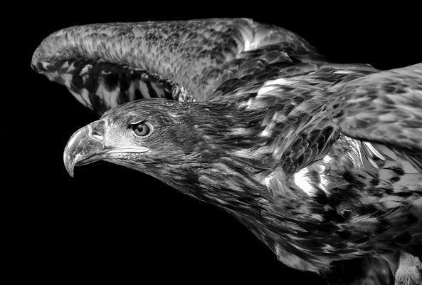 Kurz vor dem Abflug...