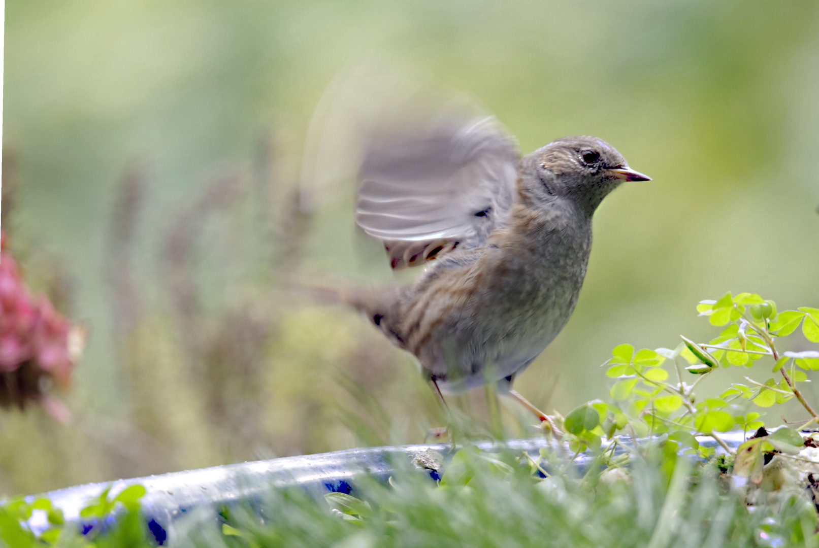 ................kurz vor dem Abflug.............