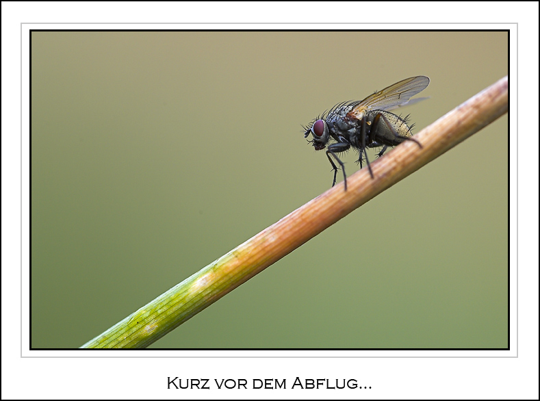 Kurz vor dem Abflug