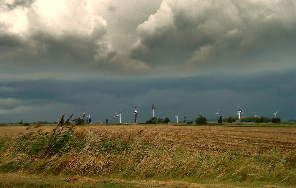 Kurz vor dem Donnerwetter