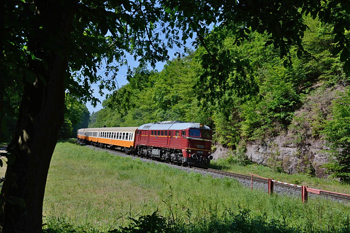 kurz vor dem Förthaer Tunnel