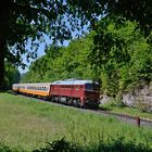 kurz vor dem Förthaer Tunnel