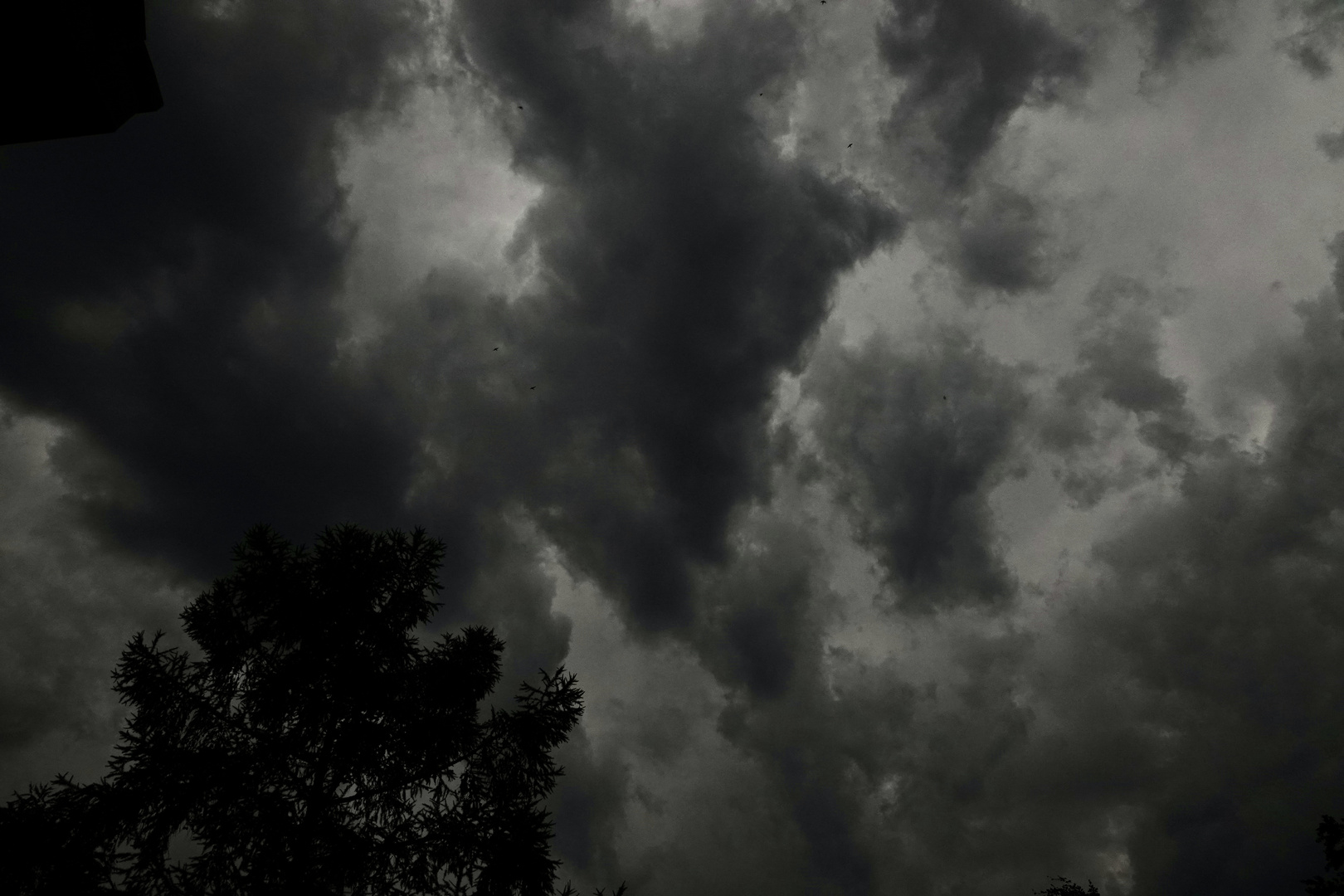 kurz vor dem Gewitter