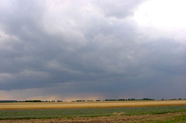 kurz vor dem Gewitter