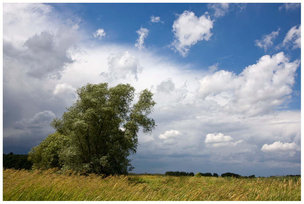 Kurz vor dem Gewitter..