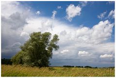 Kurz vor dem Gewitter..