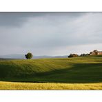 Kurz vor dem Gewitter