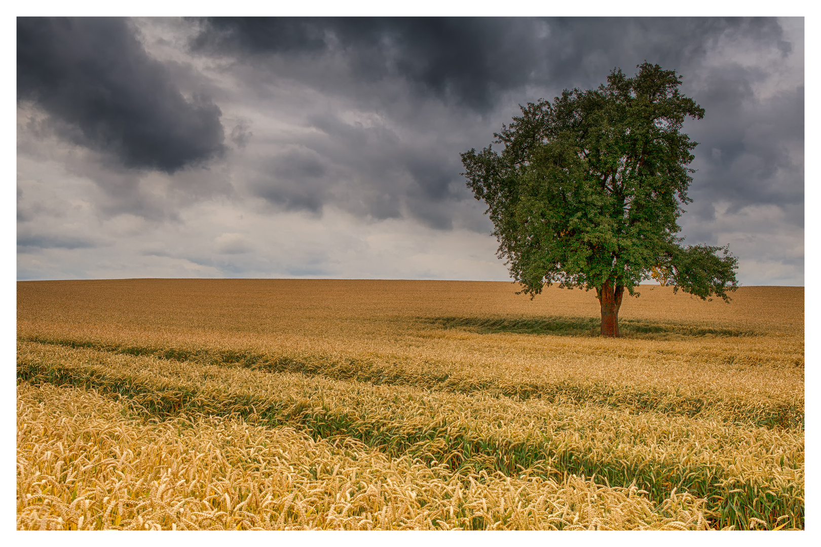 Kurz vor dem Gewitter