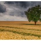 Kurz vor dem Gewitter