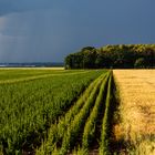 Kurz vor dem Gewitter