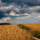 kurz vor dem Gewitter