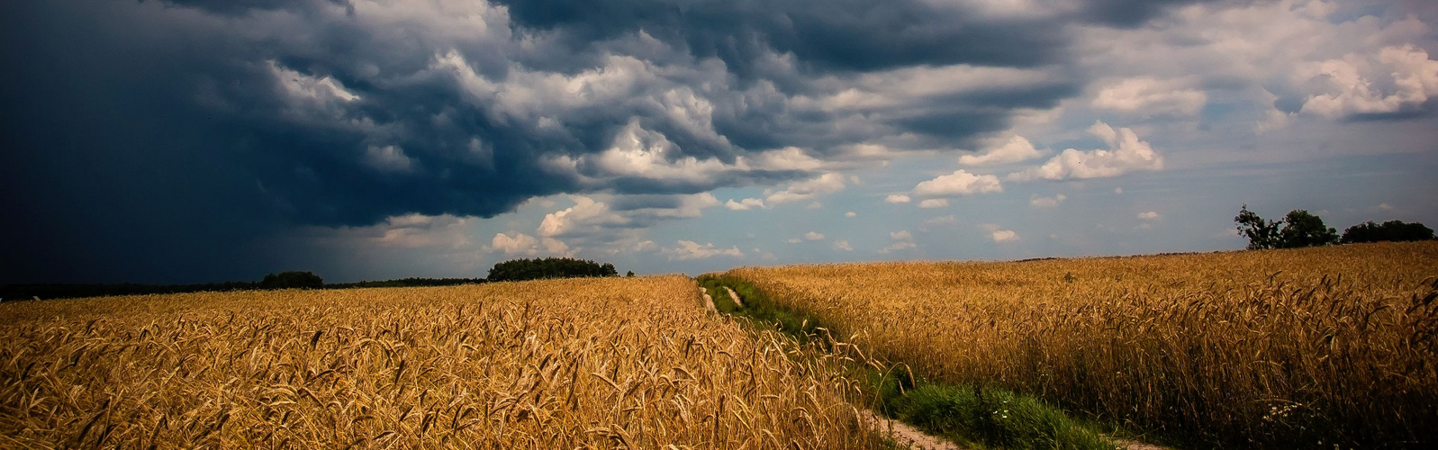 kurz vor dem Gewitter