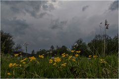 Kurz vor dem Gewitter..