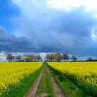 Kurz vor dem Gewitter