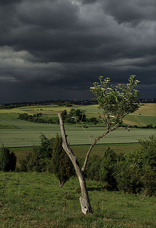 Kurz vor dem Gewitter..