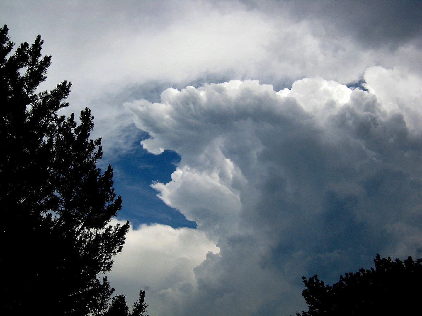 Kurz vor dem Gewitter....