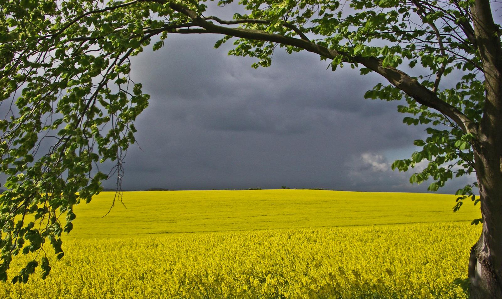 Kurz vor dem Gewitter