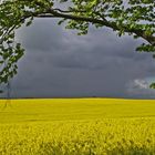 Kurz vor dem Gewitter