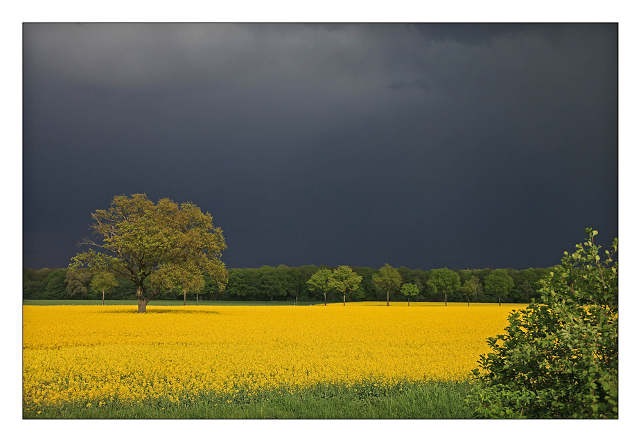 Kurz vor dem Gewitter ...