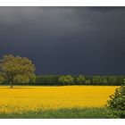 Kurz vor dem Gewitter ...