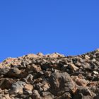 Kurz vor dem Gipfel des Teide auf Teneriffa