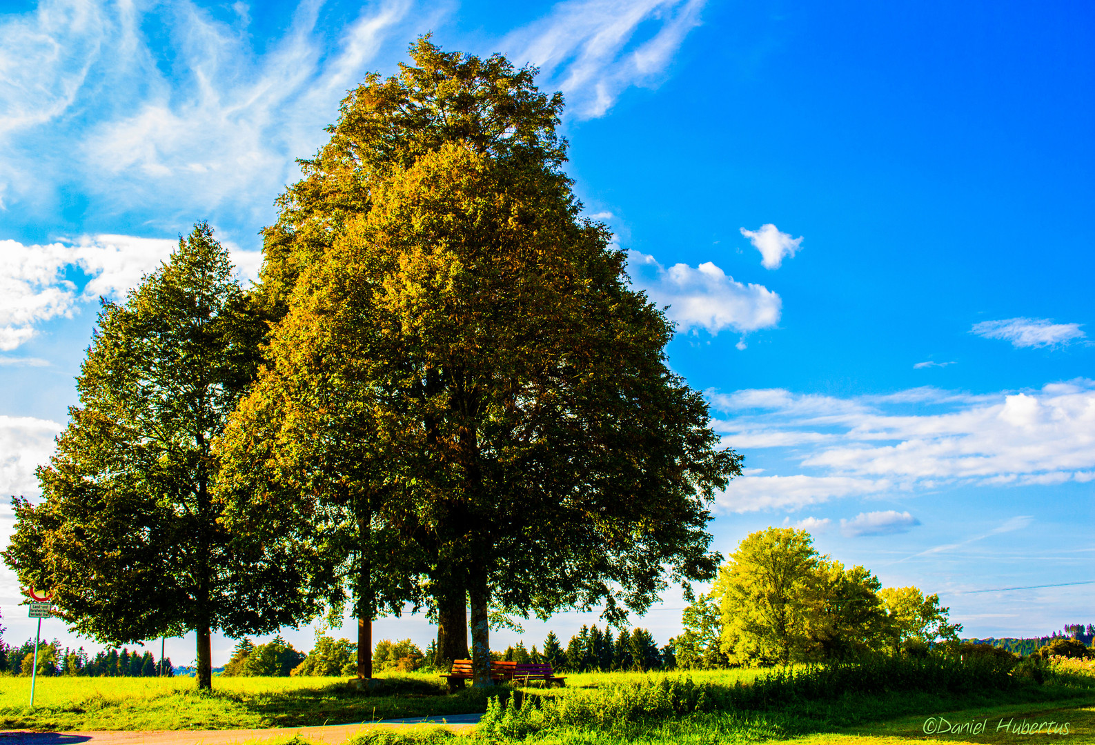 Kurz vor dem goldenen Herbst