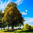 Kurz vor dem goldenen Herbst