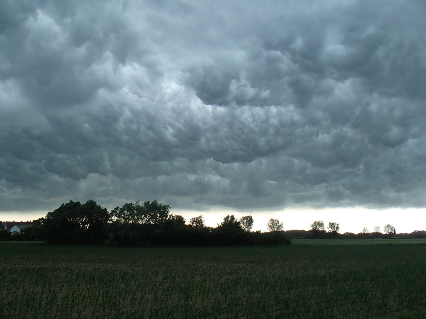 Kurz vor dem großen Regen der Vorhang geht zu