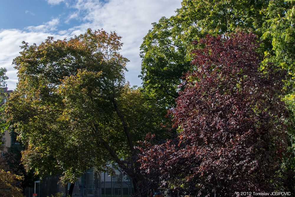 Kurz vor dem Herbst