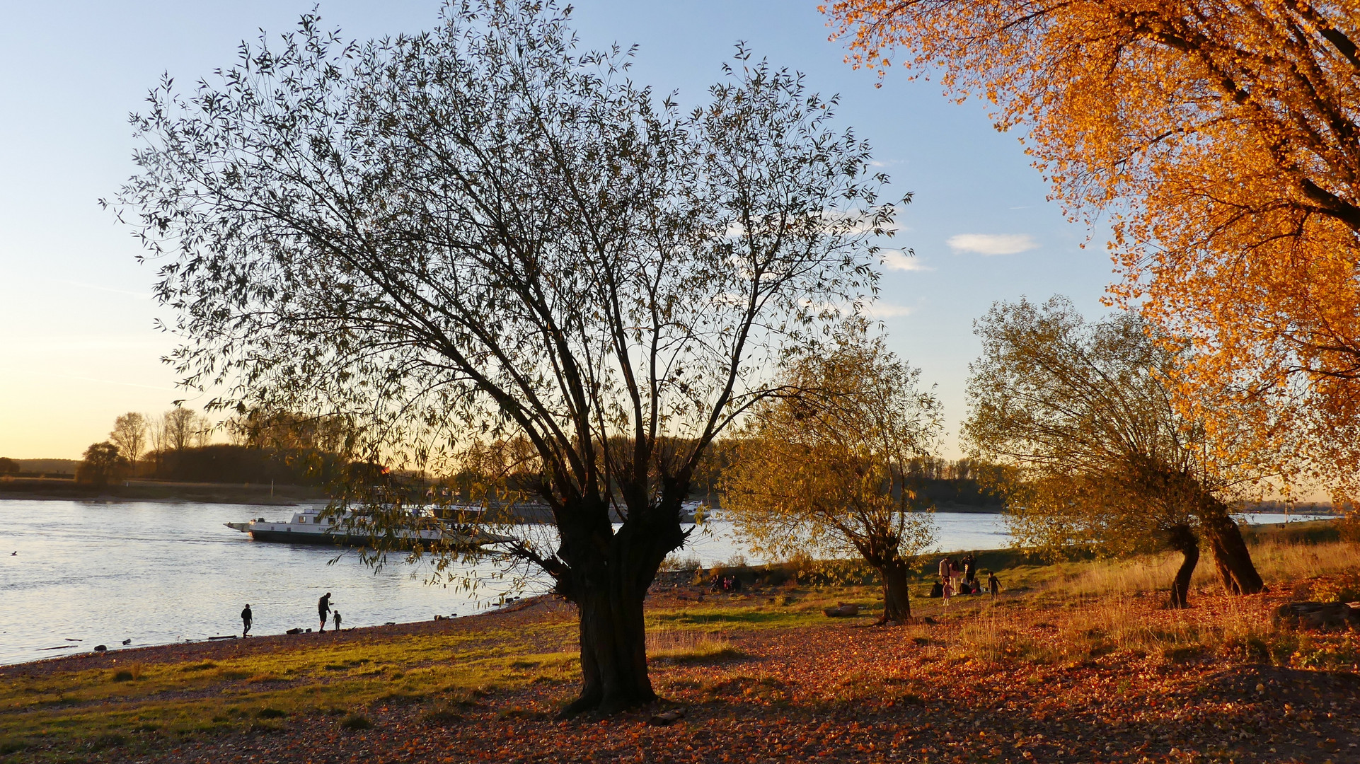 Kurz vor dem heutigen Sonnenuntergang am Rhein in Leverkusen-Hitdorf ... 