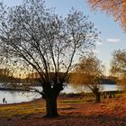 Kurz vor dem heutigen Sonnenuntergang am Rhein in Leverkusen-Hitdorf ... 