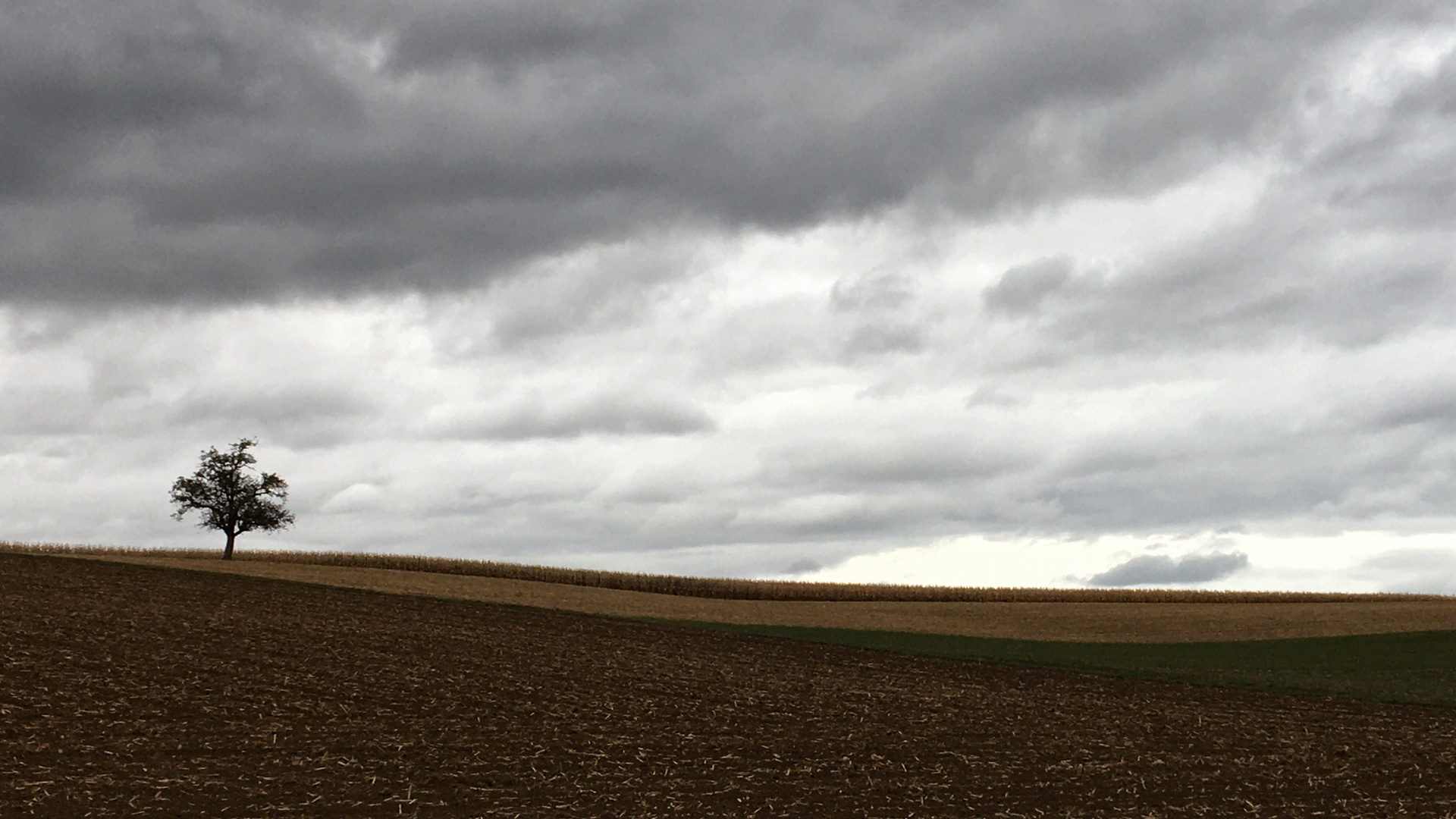 Kurz vor dem Regen 