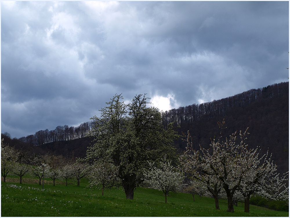 Kurz vor dem Regen