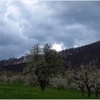 Kurz vor dem Regen