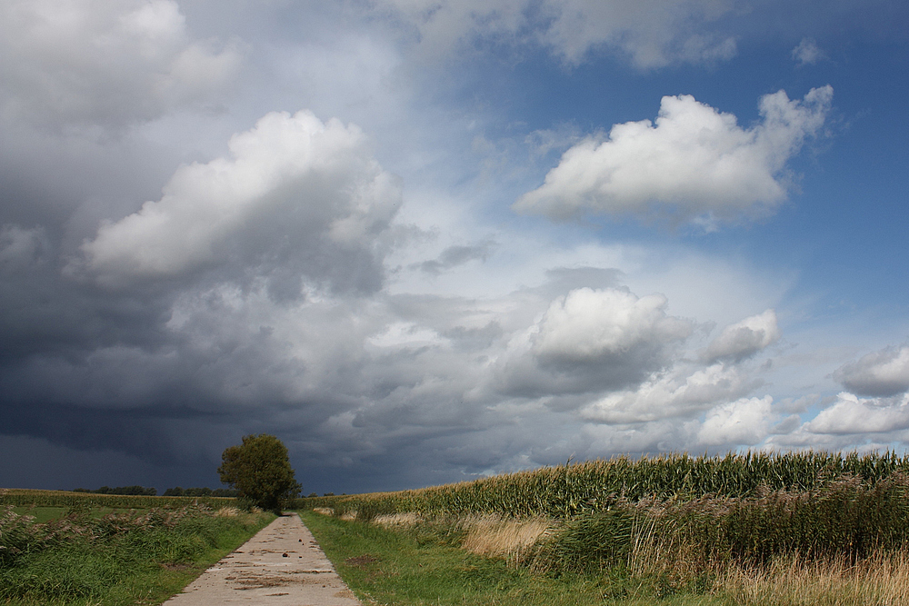 Kurz vor dem Regen