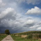 Kurz vor dem Regen