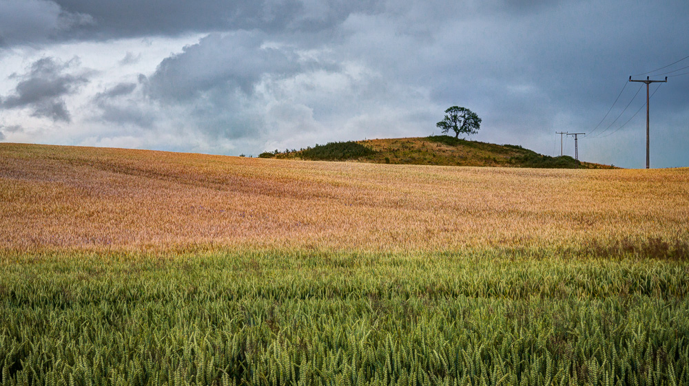 Kurz vor dem Regen